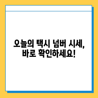 제주도 제주시 이호동 개인택시 면허 매매 가격| 오늘 시세 & 넘버값 | 자격조건, 월수입, 양수교육