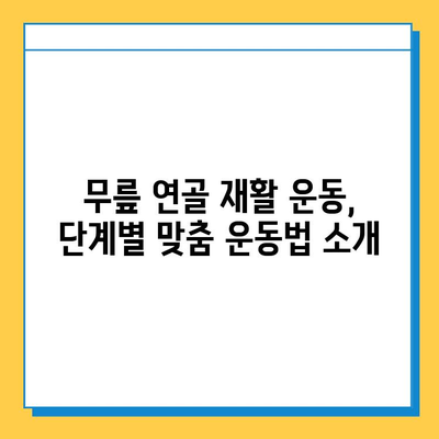 무릎 연골 주사/수술 후, 꾸준한 관리로 건강 되찾기| 단계별 가이드 | 재활, 운동, 식단, 주의사항