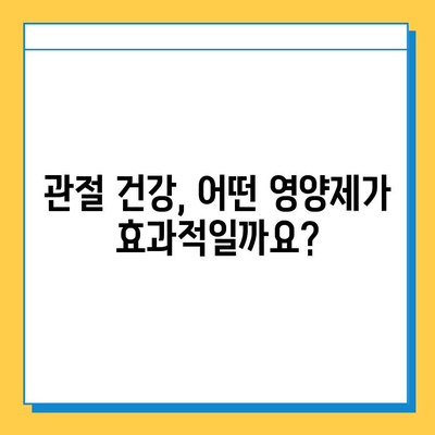 관절 건강 지키는 영양제 선택 가이드| 연골 재생 효과 높이는 제품 비교 분석 | 관절 연골 영양제, 건강기능식품, 효능 비교, 추천