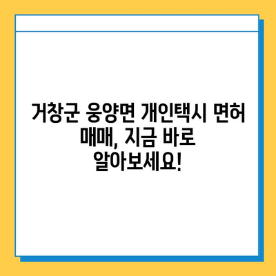 거창군 웅양면 개인택시 면허 매매 가격 & 자격조건 | 오늘 시세, 번호판, 월수입, 양수교육