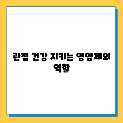 무릎 통증 완화, 관절연골영양제가 답일까요? | 무릎 통증 관리, 관절 건강, 영양제 효과