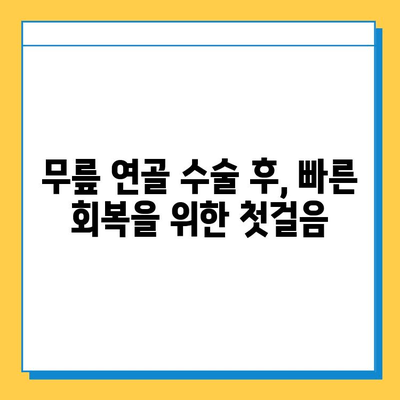 무릎 연골 수술 후 재활| 빠른 회복을 위한 단계별 가이드 | 무릎 연골 수술, 재활 운동, 회복 과정, 전문가 조언