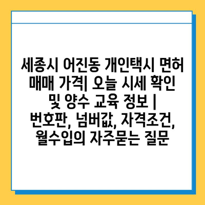 세종시 어진동 개인택시 면허 매매 가격| 오늘 시세 확인 및 양수 교육 정보 | 번호판, 넘버값, 자격조건, 월수입