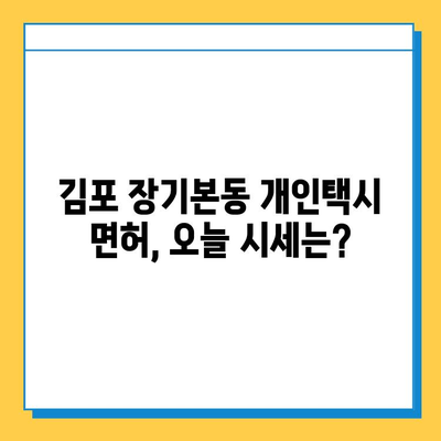 김포 장기본동 개인택시 면허 매매 가격| 오늘 시세 확인 및 핵심 정보  | 번호판, 넘버값, 자격조건, 월수입, 양수교육