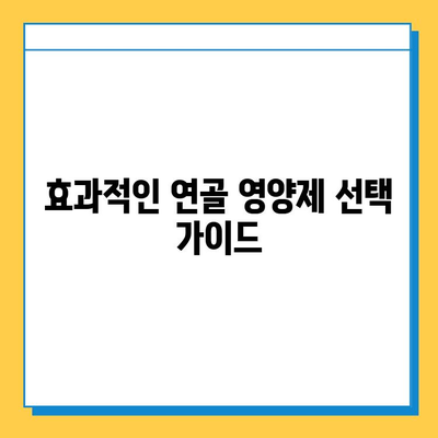 관절 건강 지키는 현명한 선택! 나에게 맞는 연골 영양제 고르는 방법 | 관절, 연골, 영양제, 건강, 선택 가이드