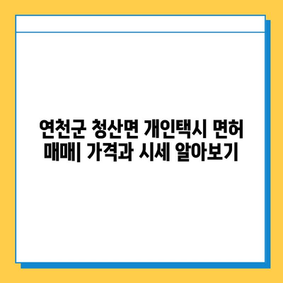 연천군 청산면 개인택시 면허 매매 가격 & 시세 (번호판, 넘버값) | 자격조건, 월수입, 양수교육