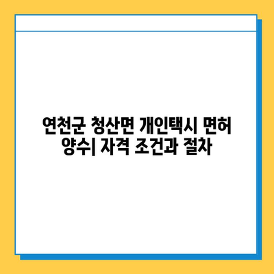 연천군 청산면 개인택시 면허 매매 가격 & 시세 (번호판, 넘버값) | 자격조건, 월수입, 양수교육