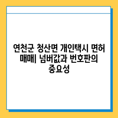 연천군 청산면 개인택시 면허 매매 가격 & 시세 (번호판, 넘버값) | 자격조건, 월수입, 양수교육