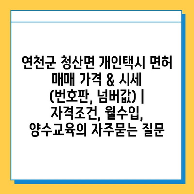 연천군 청산면 개인택시 면허 매매 가격 & 시세 (번호판, 넘버값) | 자격조건, 월수입, 양수교육