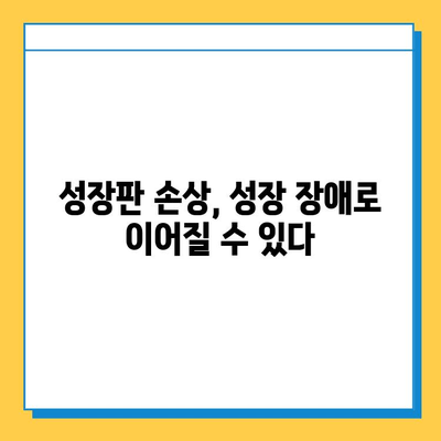 연골 성장판| 해부학적 구조 탐구 | 성장판, 골격 성장, 조직학, 의학