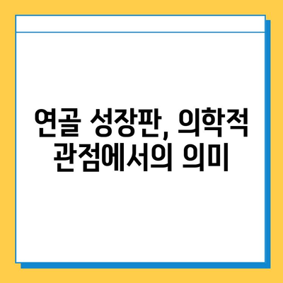 연골 성장판| 해부학적 구조 탐구 | 성장판, 골격 성장, 조직학, 의학