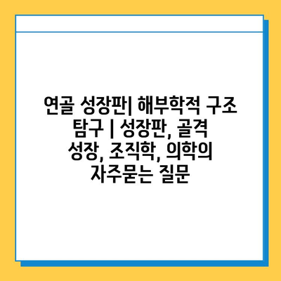 연골 성장판| 해부학적 구조 탐구 | 성장판, 골격 성장, 조직학, 의학