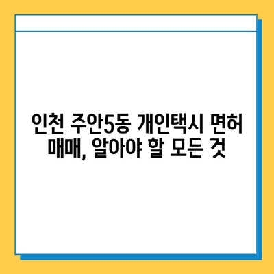 인천 미추홀구 주안5동 개인택시 면허 매매 시세| 오늘 가격, 번호판 값, 자격조건, 월수입, 양수교육 | 2023년 최신 정보