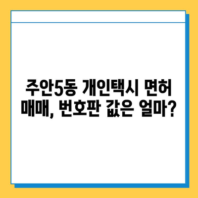 인천 미추홀구 주안5동 개인택시 면허 매매 시세| 오늘 가격, 번호판 값, 자격조건, 월수입, 양수교육 | 2023년 최신 정보