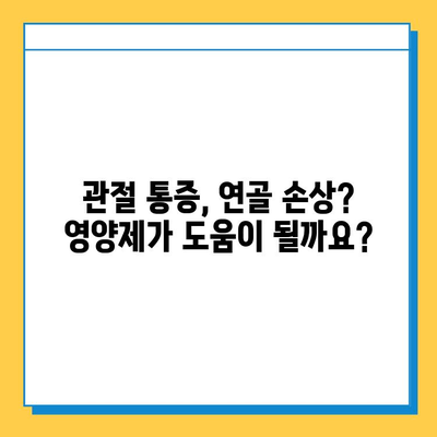 관절 통증과 연골 건강 개선, 영양제 비교 가이드 | 관절 건강, 연골 보호, 영양제 추천, 효능 비교