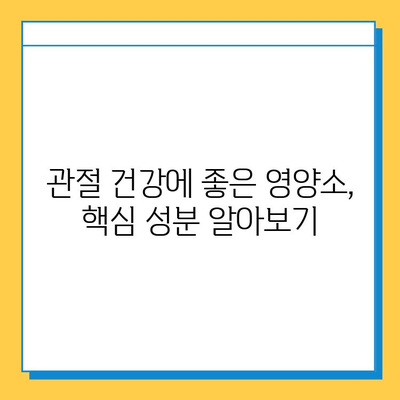 관절 통증과 연골 건강 개선, 영양제 비교 가이드 | 관절 건강, 연골 보호, 영양제 추천, 효능 비교