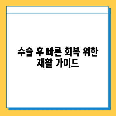 반월상연골 파열, 수술 시기 고민 해결! | 수술 적기 판단 가이드, 재활 정보