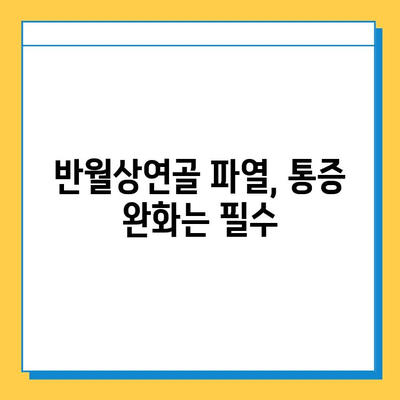 반월상연골 파열, 수술 시기 고민 해결! | 수술 적기 판단 가이드, 재활 정보