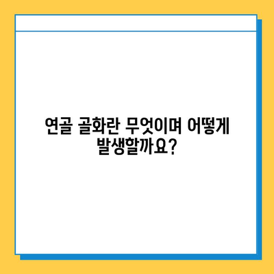 연골 골화| 증상, 원인, 치료법 | 신뢰할 수 있는 정보와 함께