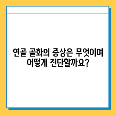 연골 골화| 증상, 원인, 치료법 | 신뢰할 수 있는 정보와 함께