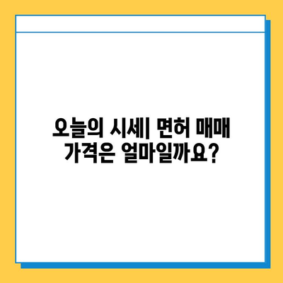 전라남도 강진군 옴천면 개인택시 면허 매매 가격| 오늘 시세 & 자격 조건 | 월수입 | 양수 교육