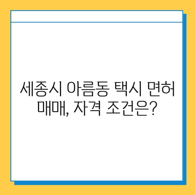 세종시 아름동 개인택시 면허 매매 가격| 오늘 시세 & 자격조건 & 월수입 & 양수교육 | 넘버값, 번호판, 택시면허 매매 정보