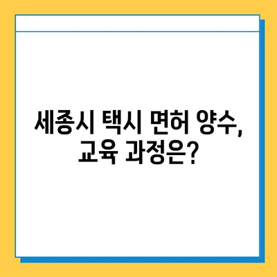 세종시 아름동 개인택시 면허 매매 가격| 오늘 시세 & 자격조건 & 월수입 & 양수교육 | 넘버값, 번호판, 택시면허 매매 정보