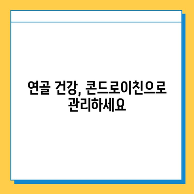 호주 관절 건강을 위한 선택! 콘드로이친 관절연골영양제 추천 이유와 후기 | 호주, 관절, 연골, 영양제, 콘드로이친, 건강, 후기