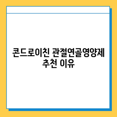 호주 관절 건강을 위한 선택! 콘드로이친 관절연골영양제 추천 이유와 후기 | 호주, 관절, 연골, 영양제, 콘드로이친, 건강, 후기