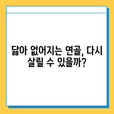 무릎 연골 영양제, 통증 완화 후기| 내 솔직한 경험 공유 | 무릎 통증, 연골 재생, 관절 건강