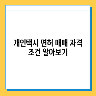 대전 중구 태평2동 개인택시 면허 매매 가격| 오늘 시세, 넘버값, 자격조건, 월수입, 양수교육 | 상세 정보