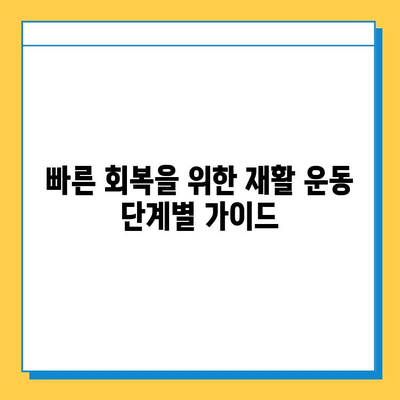 무릎 연골 수술 후 빠른 회복을 위한 재활 가이드 | 무릎 연골 수술, 재활 운동, 회복 기간