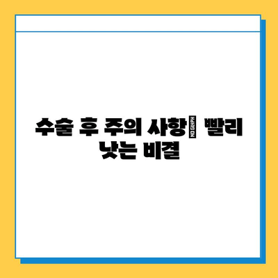 무릎 연골 수술 후 빠른 회복을 위한 재활 가이드 | 무릎 연골 수술, 재활 운동, 회복 기간