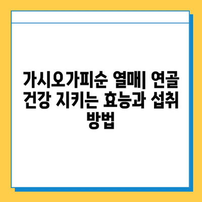 가시오가피순 열매| 연골 건강 지키는 효능과 섭취 방법 | 연골 보호, 관절 건강, 가시오가피