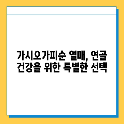 가시오가피순 열매| 연골 건강 지키는 효능과 섭취 방법 | 연골 보호, 관절 건강, 가시오가피