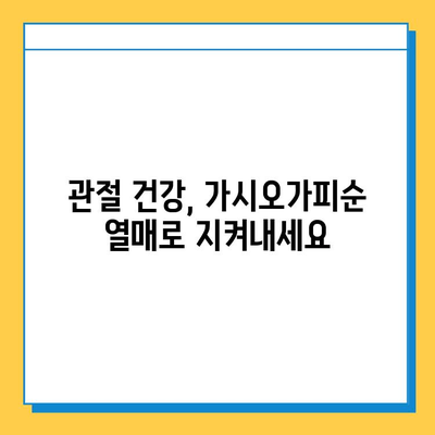 가시오가피순 열매| 연골 건강 지키는 효능과 섭취 방법 | 연골 보호, 관절 건강, 가시오가피