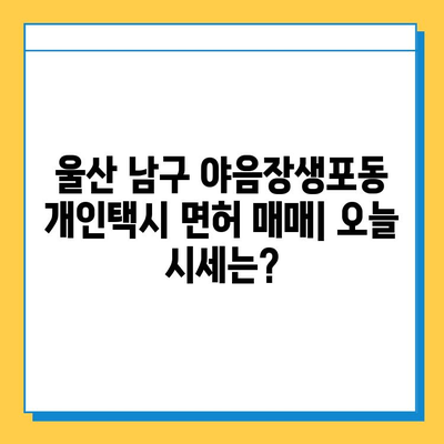 울산 남구 야음장생포동 개인택시 면허 매매| 오늘 시세, 가격, 자격조건, 월수입, 양수교육 | 상세 정보