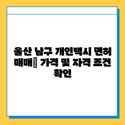 울산 남구 야음장생포동 개인택시 면허 매매| 오늘 시세, 가격, 자격조건, 월수입, 양수교육 | 상세 정보