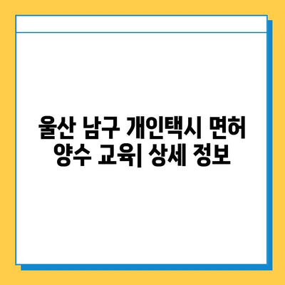 울산 남구 야음장생포동 개인택시 면허 매매| 오늘 시세, 가격, 자격조건, 월수입, 양수교육 | 상세 정보