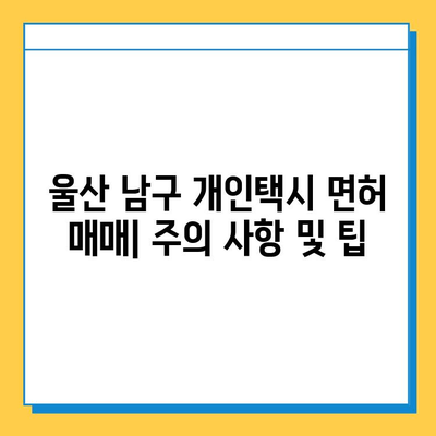 울산 남구 야음장생포동 개인택시 면허 매매| 오늘 시세, 가격, 자격조건, 월수입, 양수교육 | 상세 정보