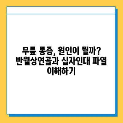 반월상연골 파열과 십자인대 파열, 효과적인 치료법 알아보기 |  재활 운동, 수술, 비수술 치료