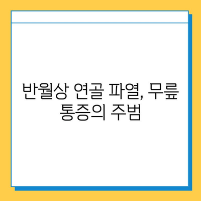 반월상 연골 파열| 증상, 진단, 치료 옵션 완벽 가이드 | 무릎 통증, 운동 제한, 재활