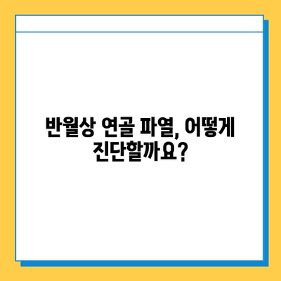 반월상 연골 파열| 증상, 진단, 치료 옵션 완벽 가이드 | 무릎 통증, 운동 제한, 재활