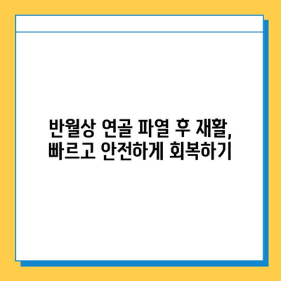 반월상 연골 파열| 증상, 진단, 치료 옵션 완벽 가이드 | 무릎 통증, 운동 제한, 재활