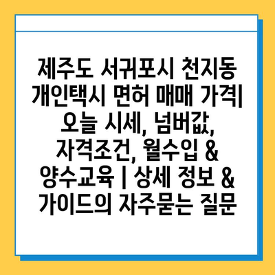 제주도 서귀포시 천지동 개인택시 면허 매매 가격| 오늘 시세, 넘버값, 자격조건, 월수입 & 양수교육 | 상세 정보 & 가이드