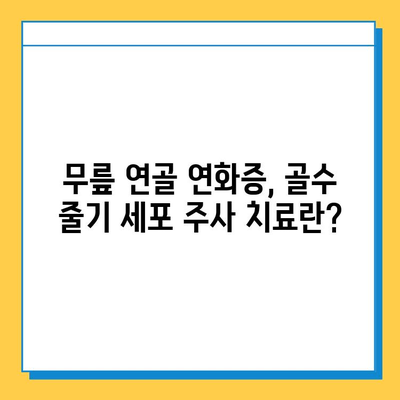 무릎 연골 연화증, 골수 줄기 세포 주사 치료 가능성| 효과와 주의사항 | 연골 재생, 무릎 통증, 비수술 치료