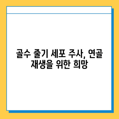 무릎 연골 연화증, 골수 줄기 세포 주사 치료 가능성| 효과와 주의사항 | 연골 재생, 무릎 통증, 비수술 치료