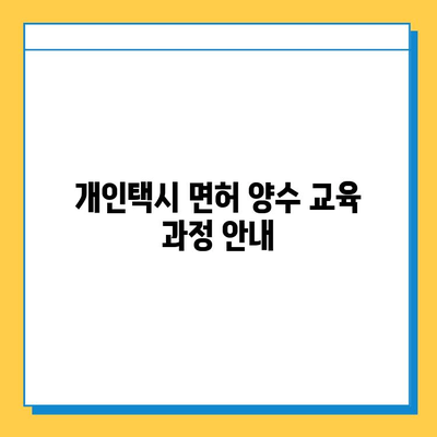 대전 서구 내동 개인택시 면허 매매| 오늘 시세, 가격(번호판), 자격, 월수입, 양수교육 | 상세 정보