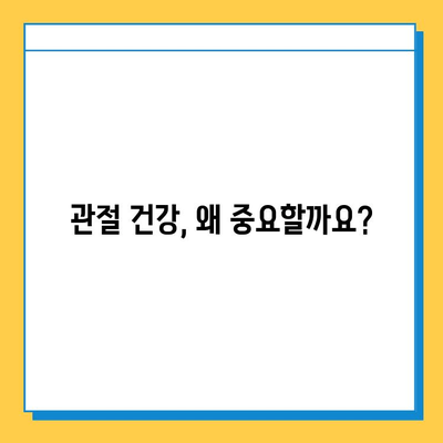 관절 건강 지키는 현명한 선택! 관절연골영양제, 꼼꼼히 따져보세요 | 관절 건강, 연골 영양제, 선택 가이드, 효과, 주의 사항