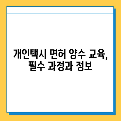 대구 중구 남산2동 개인택시 면허 매매 가격| 오늘 시세, 넘버값, 자격조건, 월수입, 양수교육 | 상세 정보